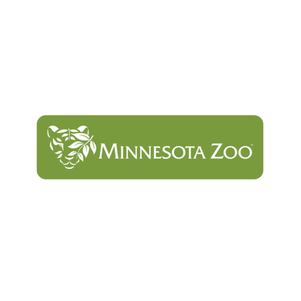Minnesota Zoo tiger logo rectangle sticker (green)