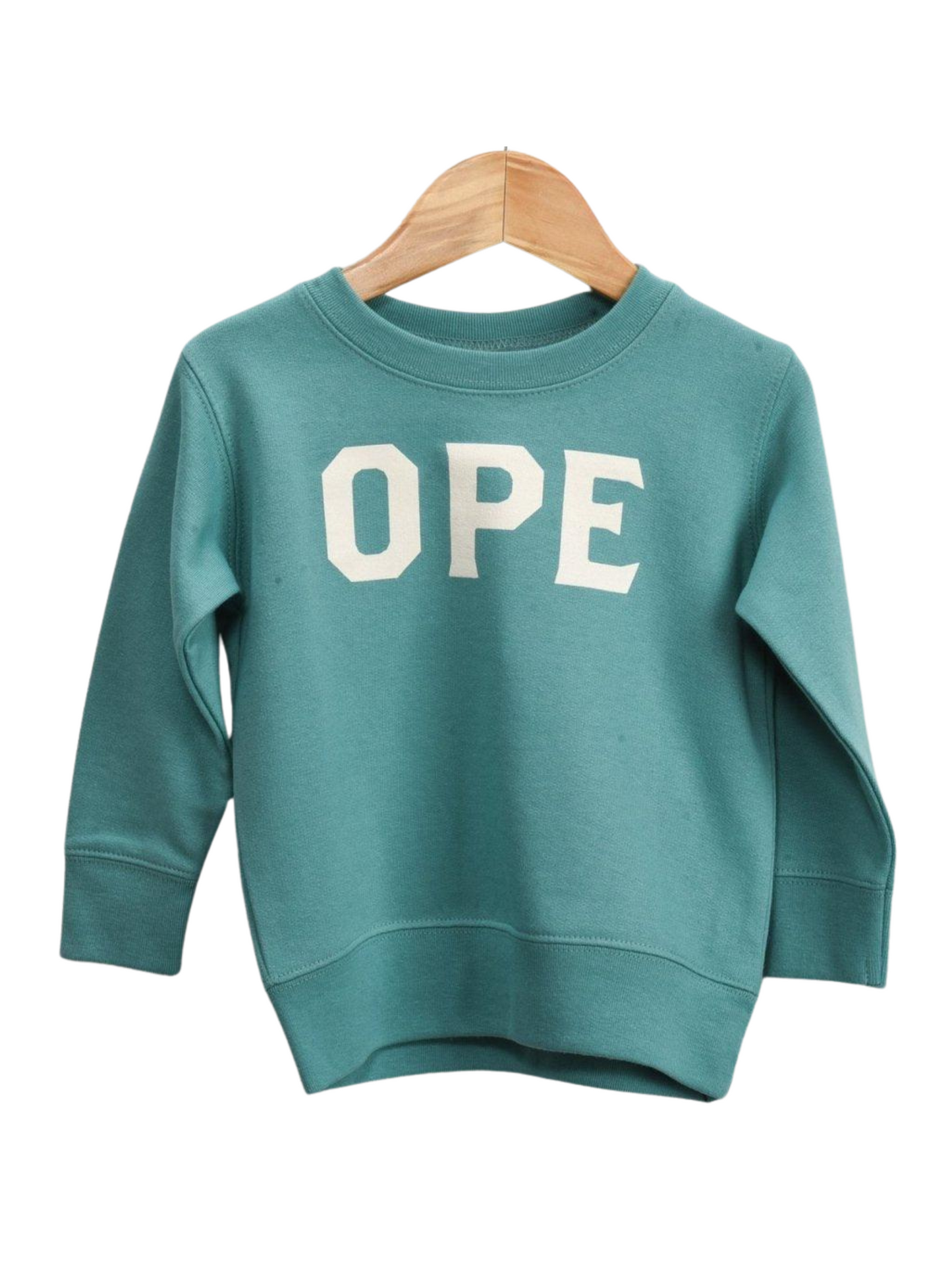 OPE Toddler Crewneck in Aquamarine